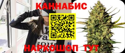 сатива Будённовск