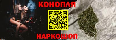 сатива Будённовск